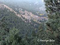 Freight train high above Rattlesnake Gulch, Eldorado Canyon State Park, CO