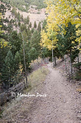 Rattlesnake Gulch Trail, Eldorado Canyon State Park, CO