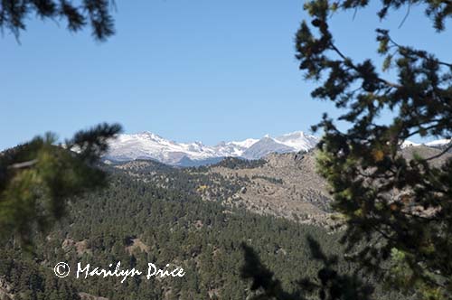 Snowcapped Rockies from Continental Divide Overlook, Rattlesnake Gulch Trail, Eldorado Canyon State Park, CO