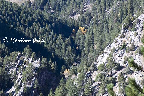 Box canyon just beyond the borders of Eldorado Canyon State Park, CO