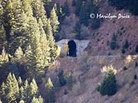 Train tunnel from Rattlesnake Gulch Trail, Eldorado Canyon State Park, CO