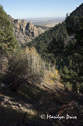 Aspen and entrance to Eldorado Canyon from Rattlesnake Gulch Trail, Eldorado Canyon State Park, CO
