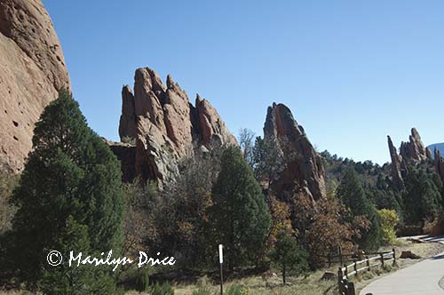 Ripples in the sandstone, Garden of the Gods Park, Colorado Springs, CO
