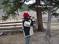 Marilyn shoots pictures of the beaver pond at Willow Carr, Caribou Ranch Open Space, CO