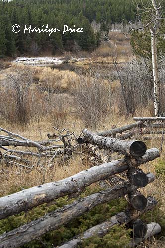 Snowy pond and wooden fence, Caribou Ranch Open Space, CO