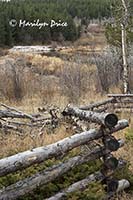 Snowy pond and wooden fence, Caribou Ranch Open Space, CO