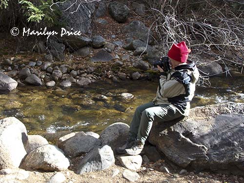 Marilyn on the banks of North Boulder Creek, Caribou Ranch Open Space, CO