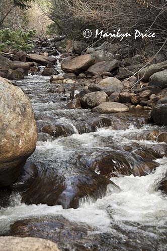 Cascades, North Boulder Creek, Caribou Ranch Open Space, CO