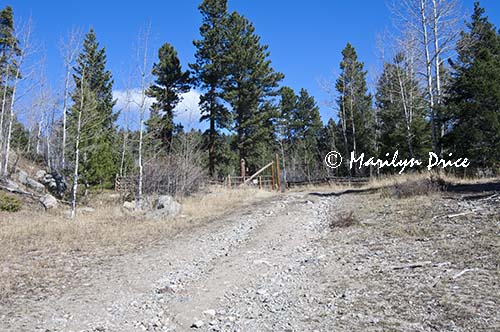 Trail, Caribou Ranch Open Space, CO