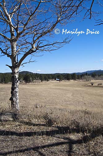 Barn, DeLonde Homestead, Caribou Ranch Open Space, CO