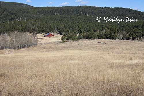 Barn, DeLonde Homestead, Caribou Ranch Open Space, CO