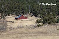 Barn, DeLonde Homestead, Caribou Ranch Open Space, CO