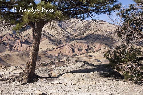 View from top of Dinosaur Ridge, Dinosaur Ridge Trail, Denver, CO