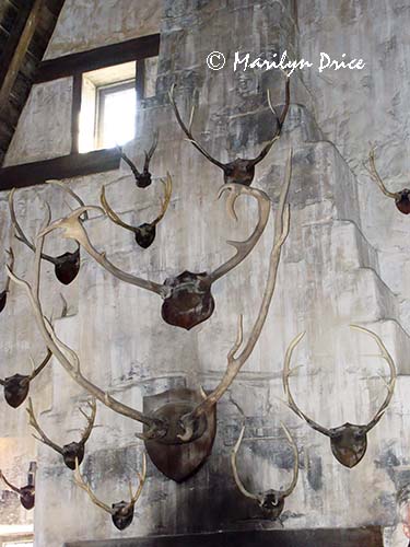 A wall of antlers, Inside the Three Broomsticks, Hogsmeade, Harry Potter section of Universal's Islands of Adventure, FL