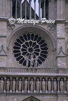 Rose Window, Cathedral of Notre Dame de Paris, Paris, France