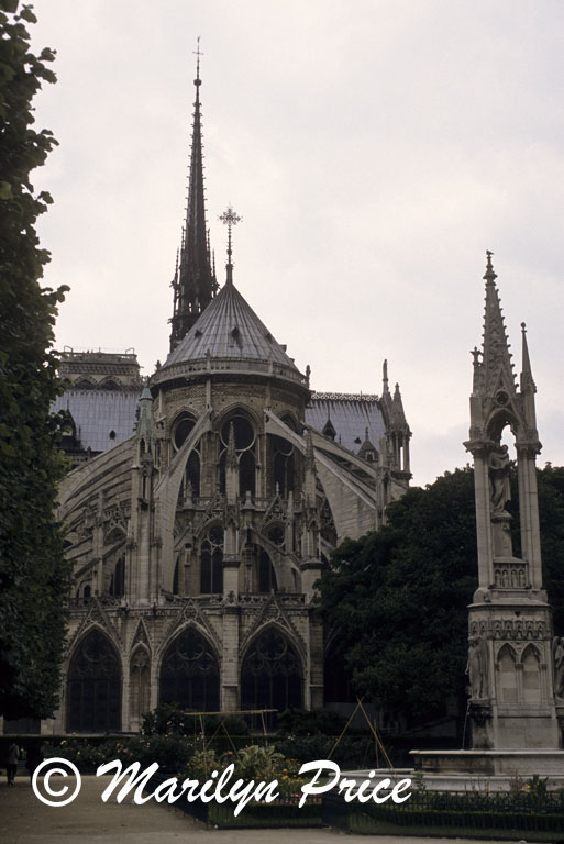 Rear facade, Cathedral of Notre Dame de Paris, Paris, France