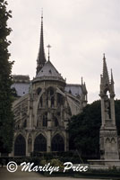 Rear facade, Cathedral of Notre Dame de Paris, Paris, France