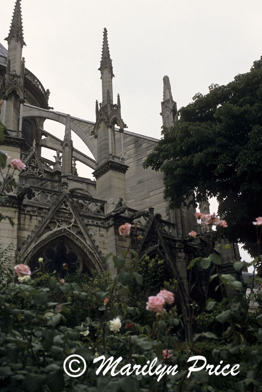 Flying buttresses, Cathedral of Notre Dame de Paris, Paris, France