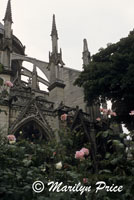 Flying buttresses, Cathedral of Notre Dame de Paris, Paris, France