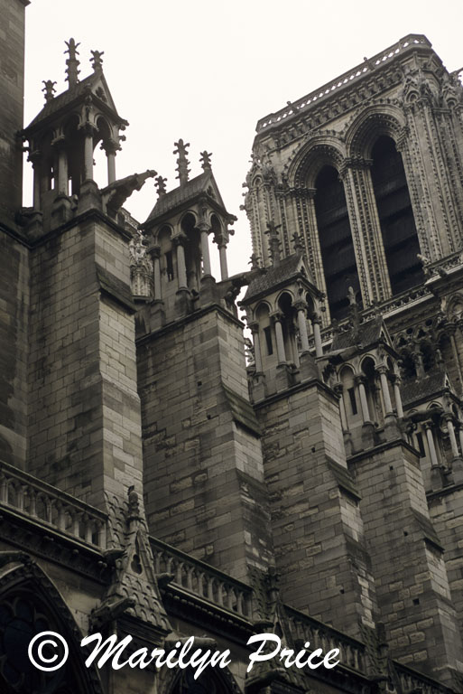 Detail, flying buttresses, Cathedral of Notre Dame de Paris, Paris, France