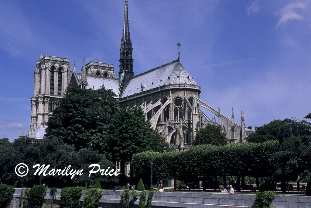 Rear facade, Cathedral of Notre Dame de Paris, Paris, France