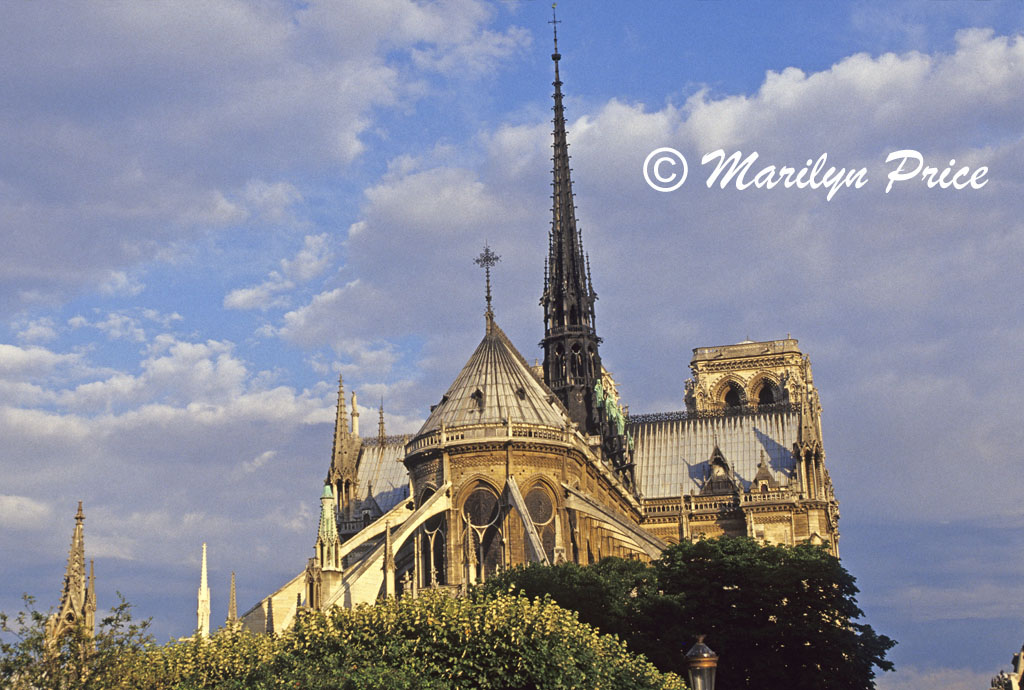 Rear facade of the Cathedral of Notre Dame de Paris, Paris, France