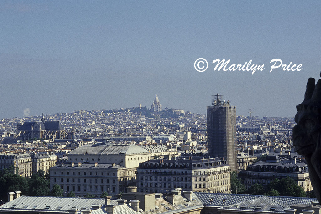 Sacre Coeur, Montmartre, and Paris from the Gargoyle Gallery of the Cathedral of Notre Dame de Paris, Paris, France