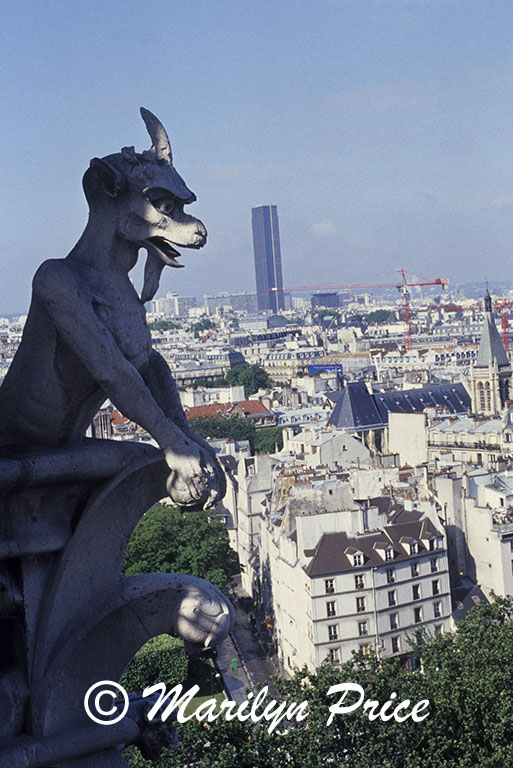 Gargoyle overlooks the streets of Paris, Gargoyle Gallery of the Cathedral of Notre Dame de Paris, Paris, France