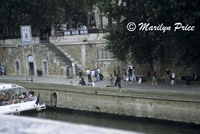 Lots of activity alone one of the banks of the Seine, Paris, France