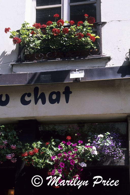 Windowboxes, Paris, France