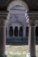 Cloister, Abbaye de Senanque, France