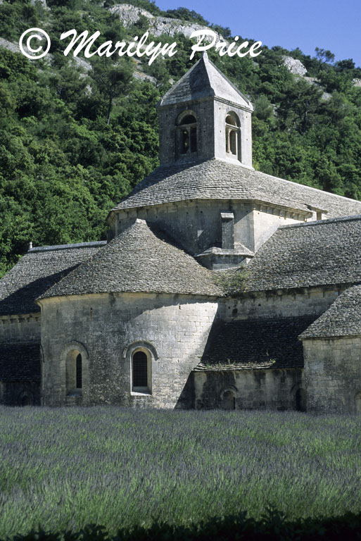 Lavender and monastery, Abbaye de Senanque, France