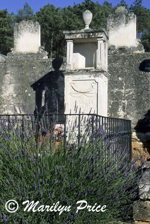 Lavender decorates a grave, Rousillon, France