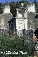 Lavender decorates a grave, Rousillon, France