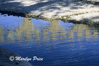 A Roman built aqueduct over the Gard River, Pont du Gard, France