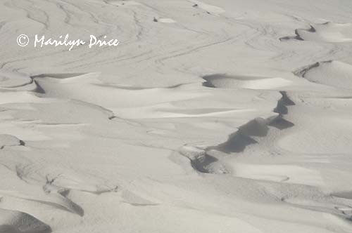 Patterns in the snow