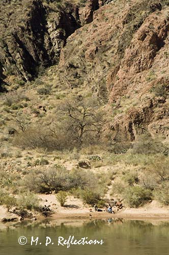 Fishermen on the banks of the Colorado River are dwarfed by the canyon walls above them, Grand Canyon National Park, AZ