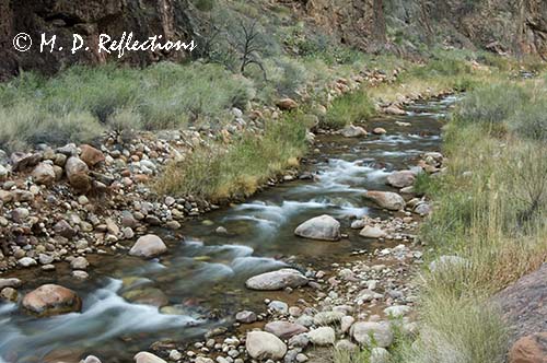 Bright Angel Creek along the North Kaibab Trail, Grand Canyon National Park, AZ