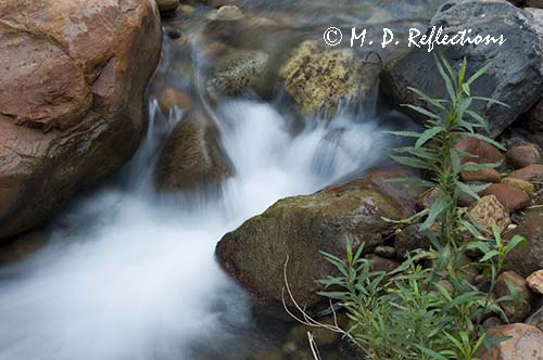 Cascades, Bright Angel Creek, North Kaibab Trail, Grand Canyon National Park, AZ