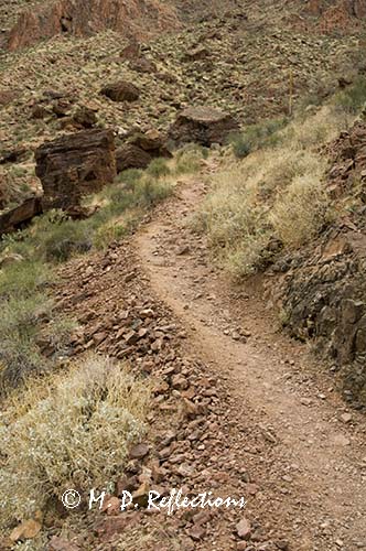 Lower portion of the Clear Creek Trail, Grand Canyon National Park, AZ