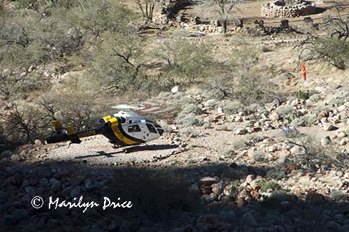 Helicopter landing near the Colorado River near Phantom Ranch, Grand Canyon National Park, AZ