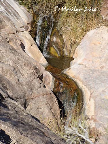 Waterfall, Bright Angel Trail, Grand Canyon National Park, AZ