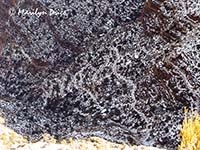 Bright Angel Trail from Trailview Overlook, South Rim, Grand Canyon National Park, AZ