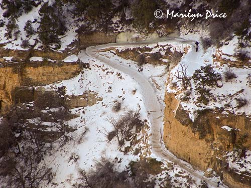 Bright Angel Trail from Trailview Overlook, South Rim, Grand Canyon National Park, AZ