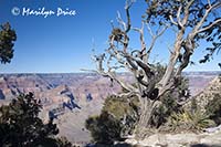 View from Hermit's Rest, South Rim, Grand Canyon National Park, AZ