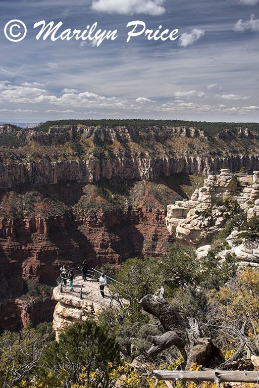 Overlook near the Grand Canyon Lodge, North Rim, Grand Canyon National Park, AZ