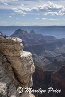 Near the Grand Canyon Lodge, North Rim, Grand Canyon National Park, AZ