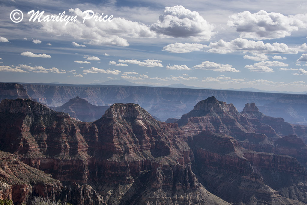 On the Bright Angel Point Trail near the Grand Canyon Lodge, North Rim, Grand Canyon National Park, AZ