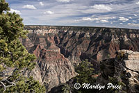 On the Bright Angel Point Trail near the Grand Canyon Lodge, North Rim, Grand Canyon National Park, AZ