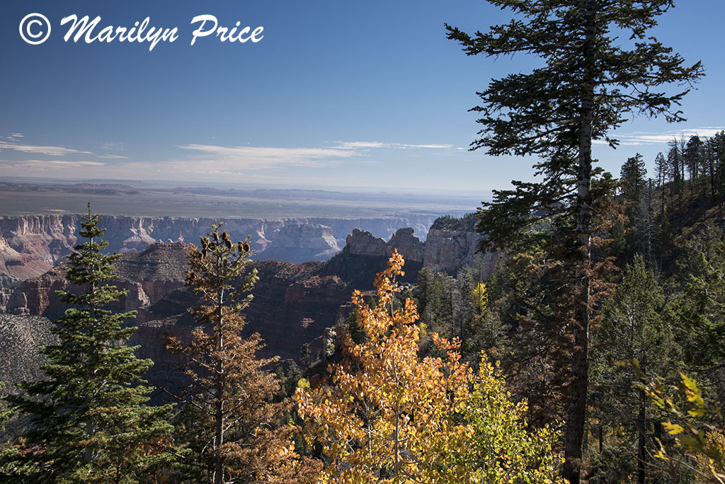 Vista Encantada, on Cape Royal road, Grand Canyon National Park, AZ